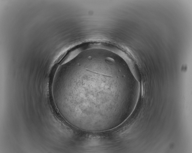 X0000090630531200707241154