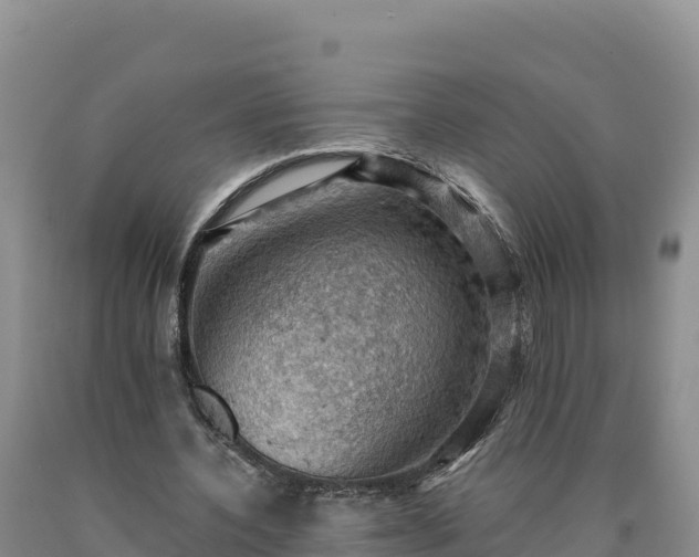 X0000090630532200707241154