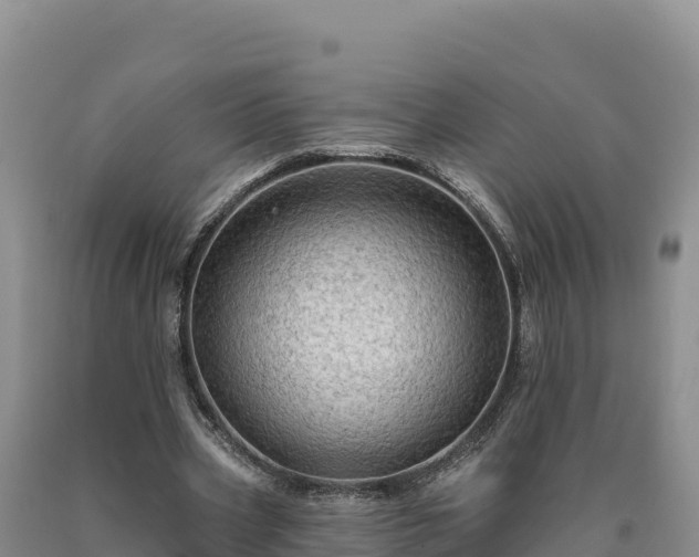 X0000090630533200707241154