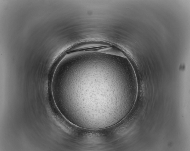 X0000090630535200707241154
