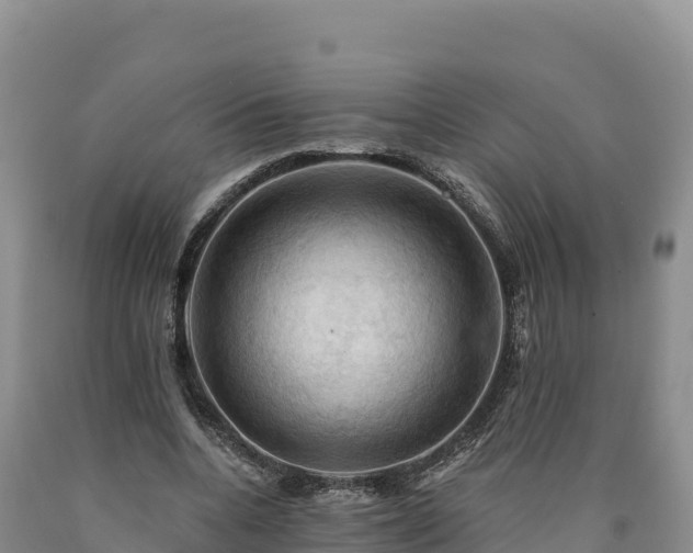 X0000090630536200707241154