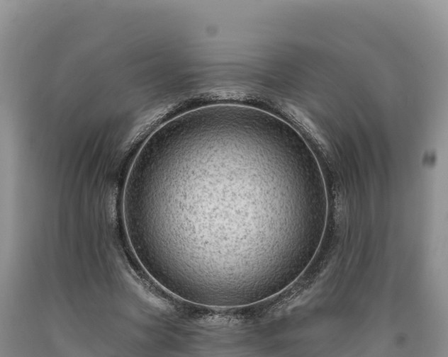 X0000090630537200707241154