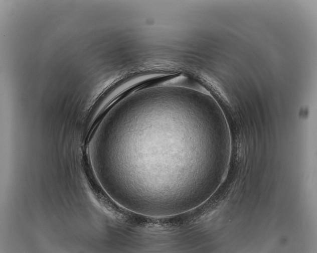 X0000090630538200707241154