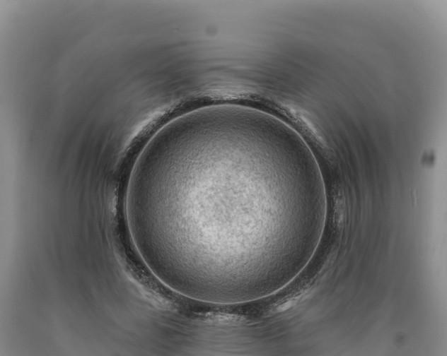 X0000090630539200707241154