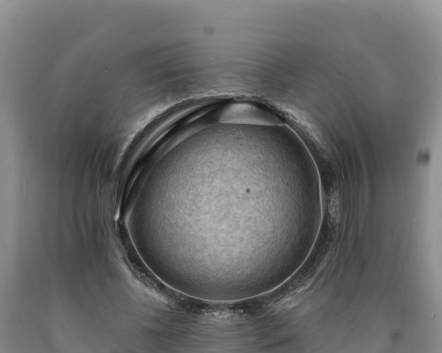X0000090630540200707241155