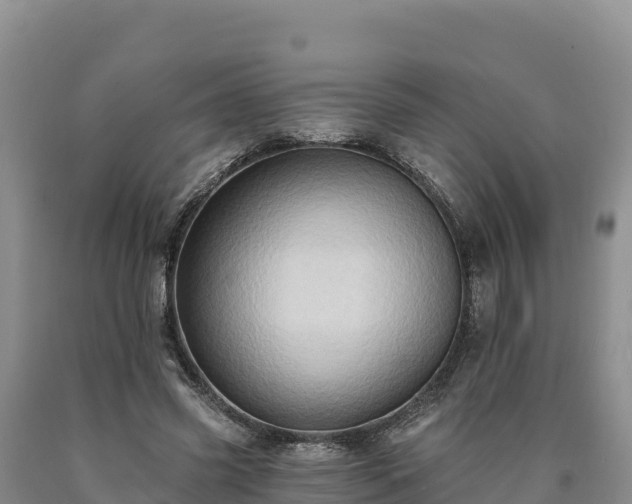 X0000090630541200707241155