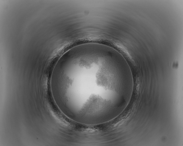 X0000090630542200707241155