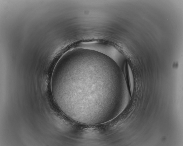 X0000090630544200707241155