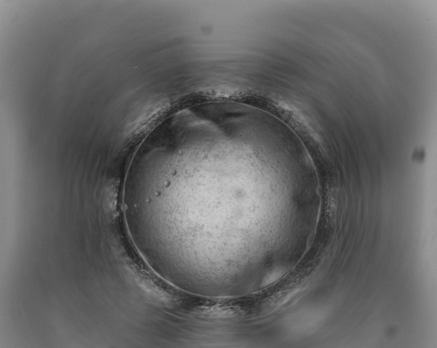 X0000090630545200707241155