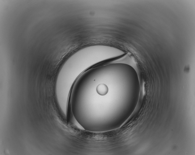 X0000090630546200707241155
