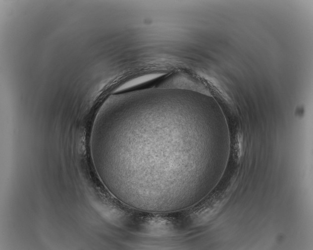X0000090630547200707241155