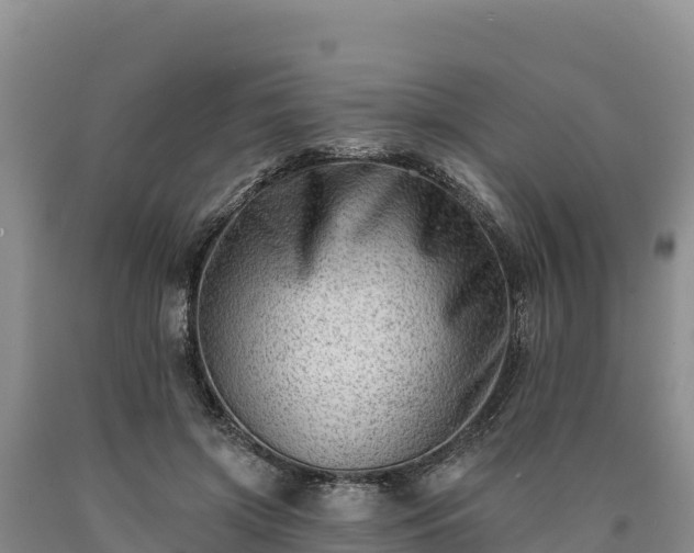 X0000090630549200707241155