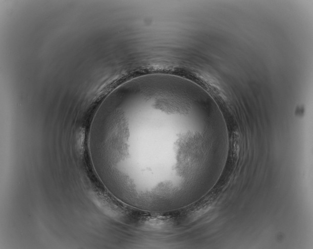 X0000090630550200707241155