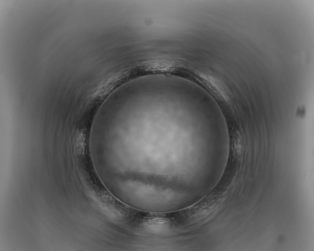 X0000090630551200707241155