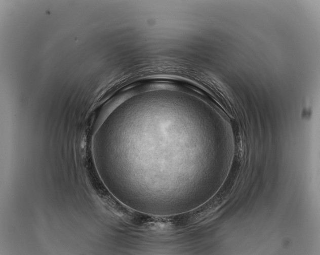 X0000090630552200707241155