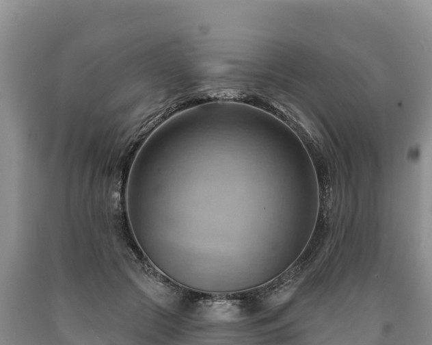 X0000090630553200707241155