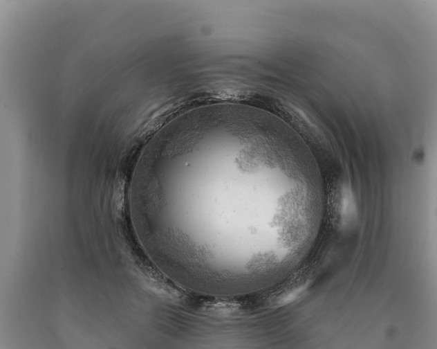 X0000090630554200707241155
