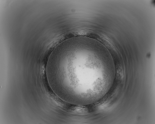 X0000090630555200707241155