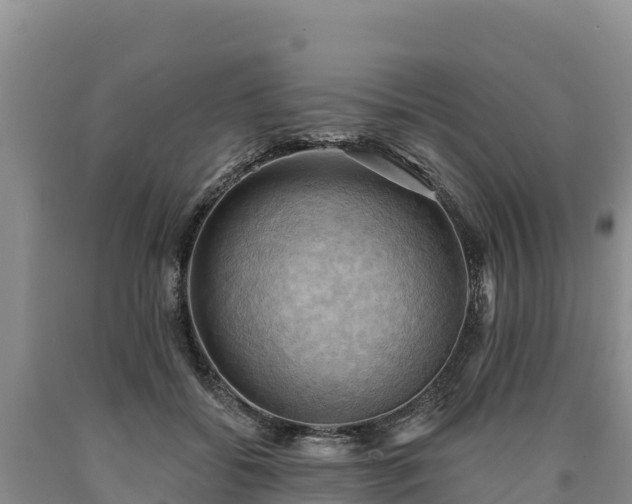 X0000090630556200707241155