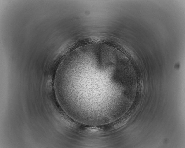 X0000090630557200707241155