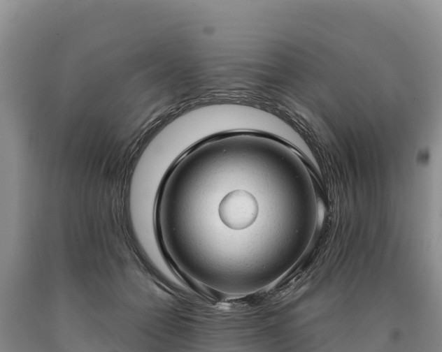 X0000090630558200707241155