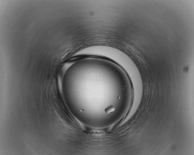 X0000090630560200707241155