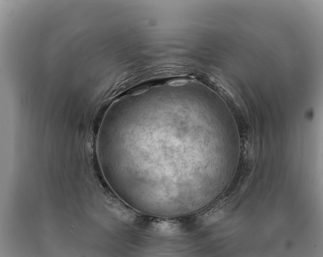 X0000090630561200707241155