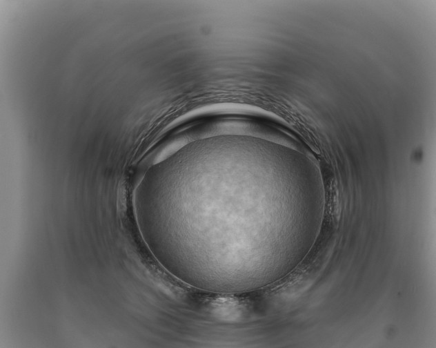 X0000090630562200707241155