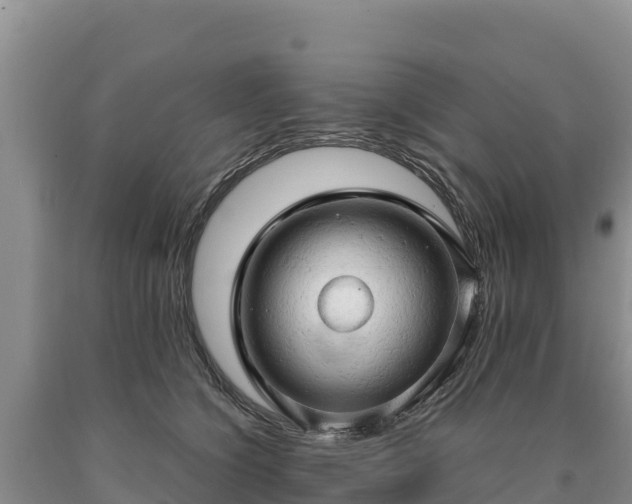 X0000090630564200707241155
