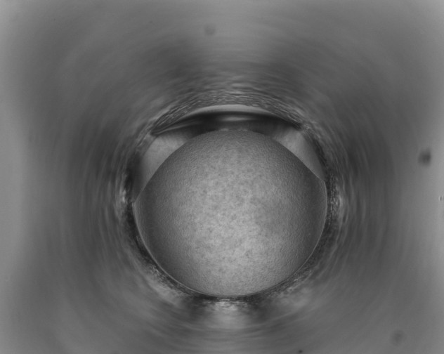 X0000090630566200707241155