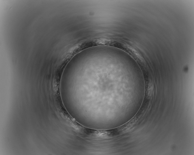 X0000090630569200707241155