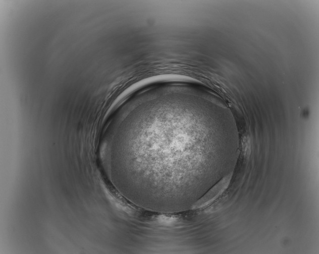 X0000090630570200707241155