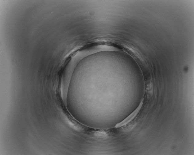 X0000090630572200707241155