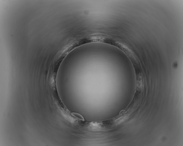 X0000090630573200707241155