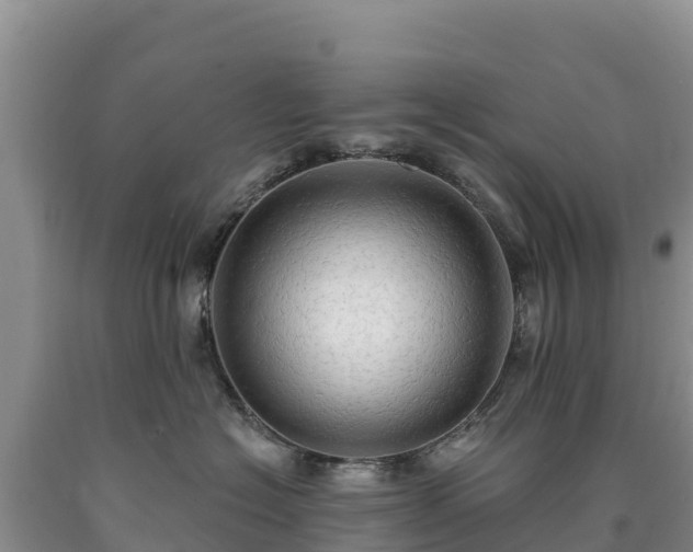 X0000090630574200707241155