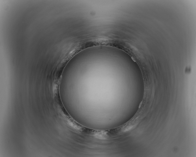 X0000090630576200707241155