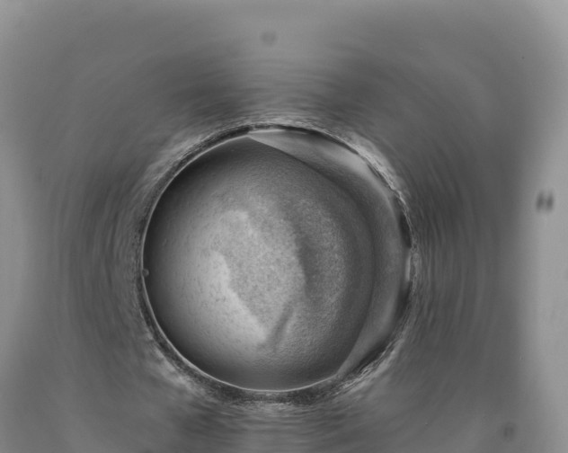 X0000090630577200707241154