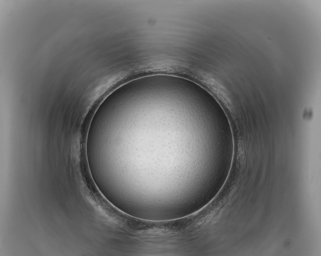 X0000090630578200707241154