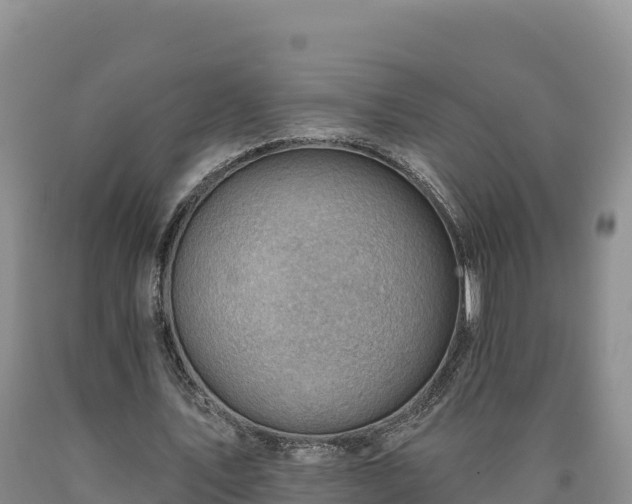 X0000090630579200707241154