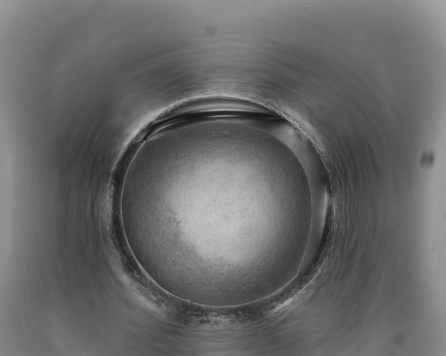 X0000090630580200707241154