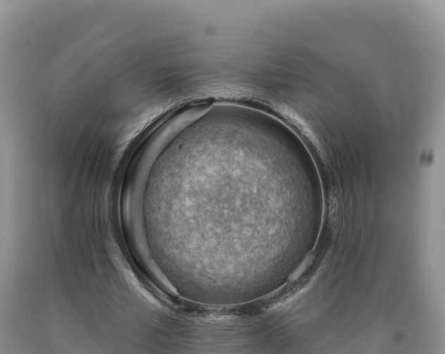 X0000090630581200707241154