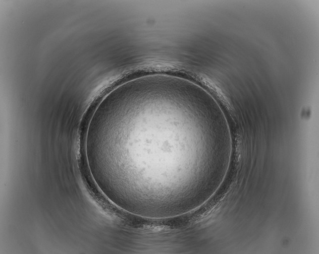 X0000090630582200707241154