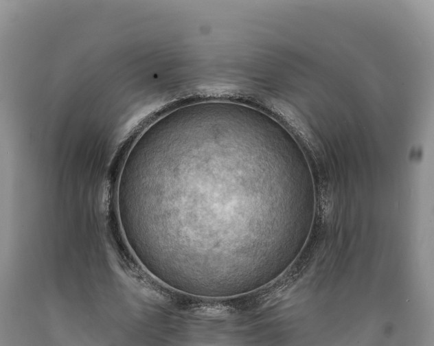 X0000090630583200707241154