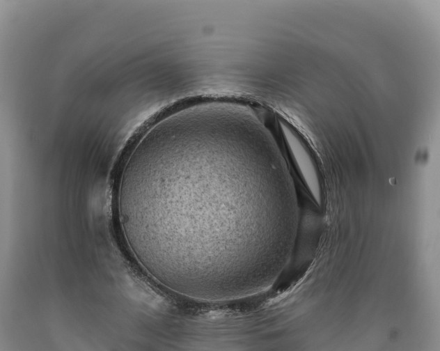 X0000090630584200707241154