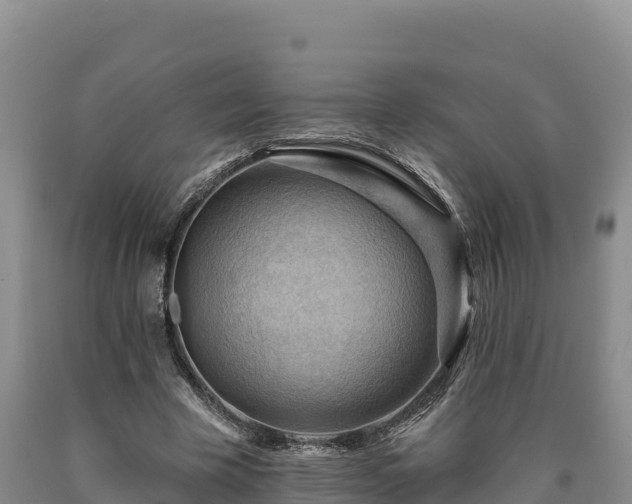 X0000090630585200707241154