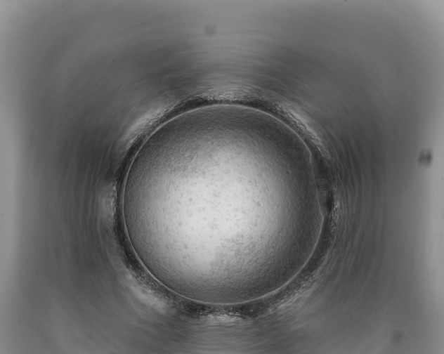 X0000090630586200707241154