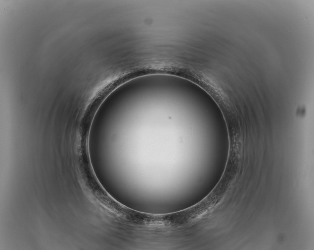 X0000090630587200707241154