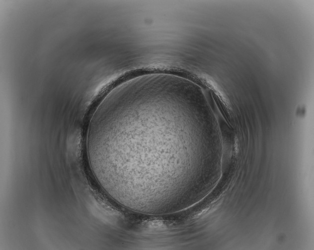 X0000090630588200707241154