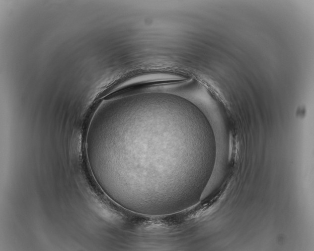X0000090630589200707241154