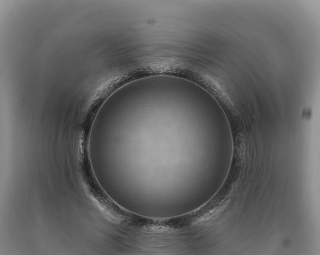 X0000090630590200707241154